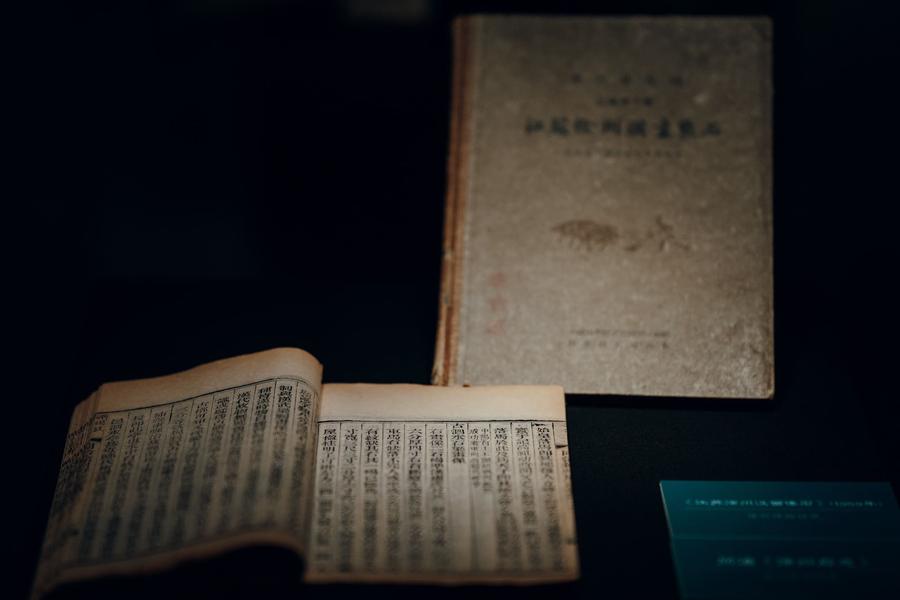 上：《江苏徐州汉画像石》（1959年），下：同治《徐州府志》