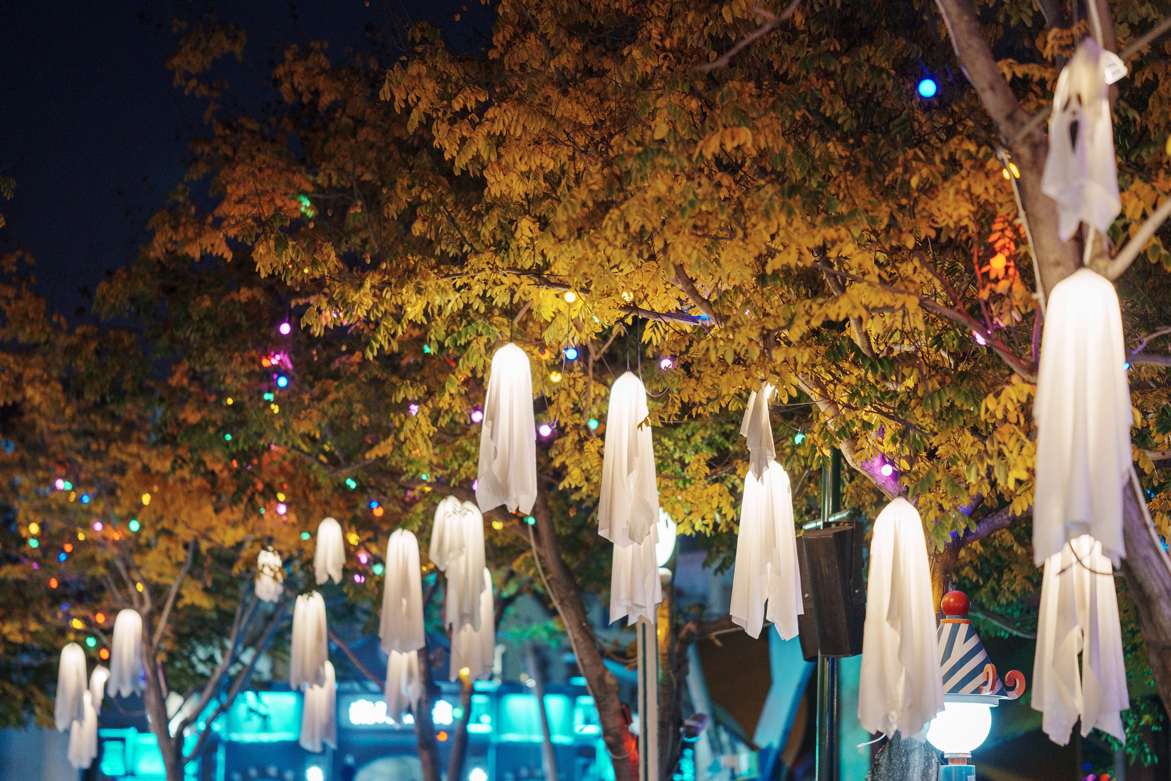 树上的挂件 树上的挂件