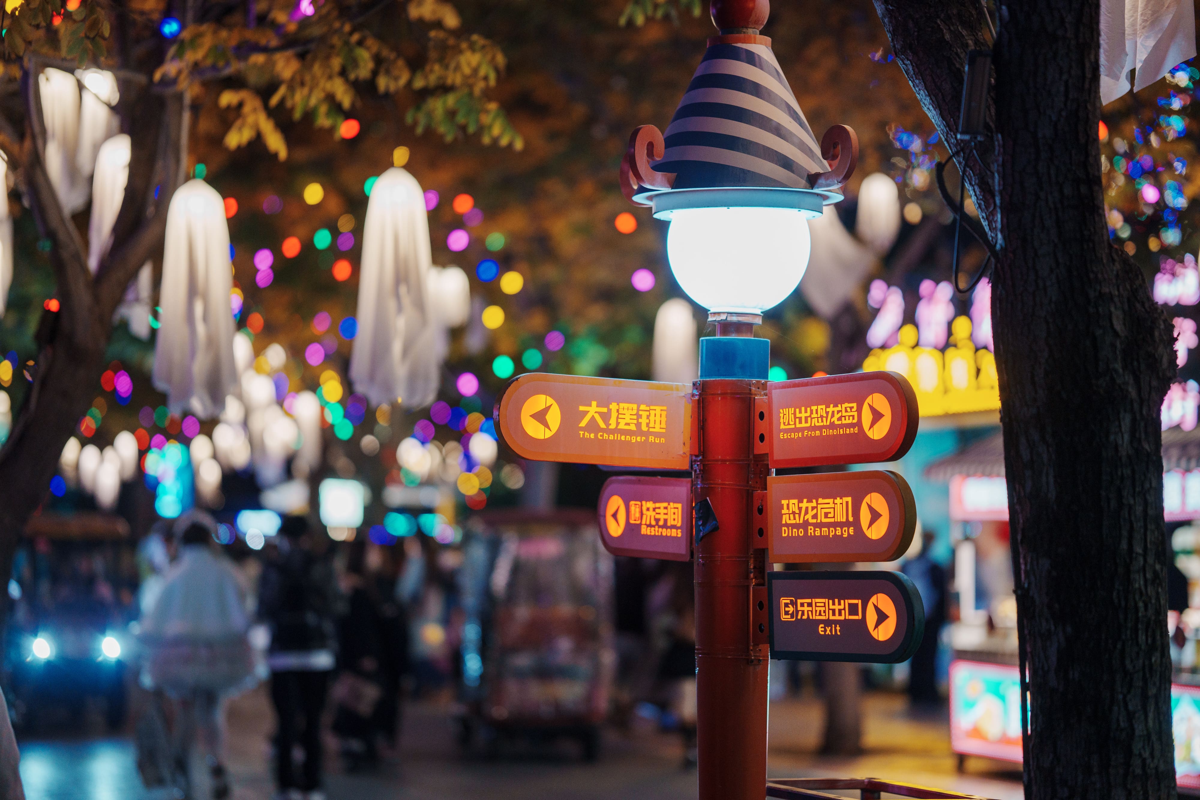 树上的挂件 树上的挂件