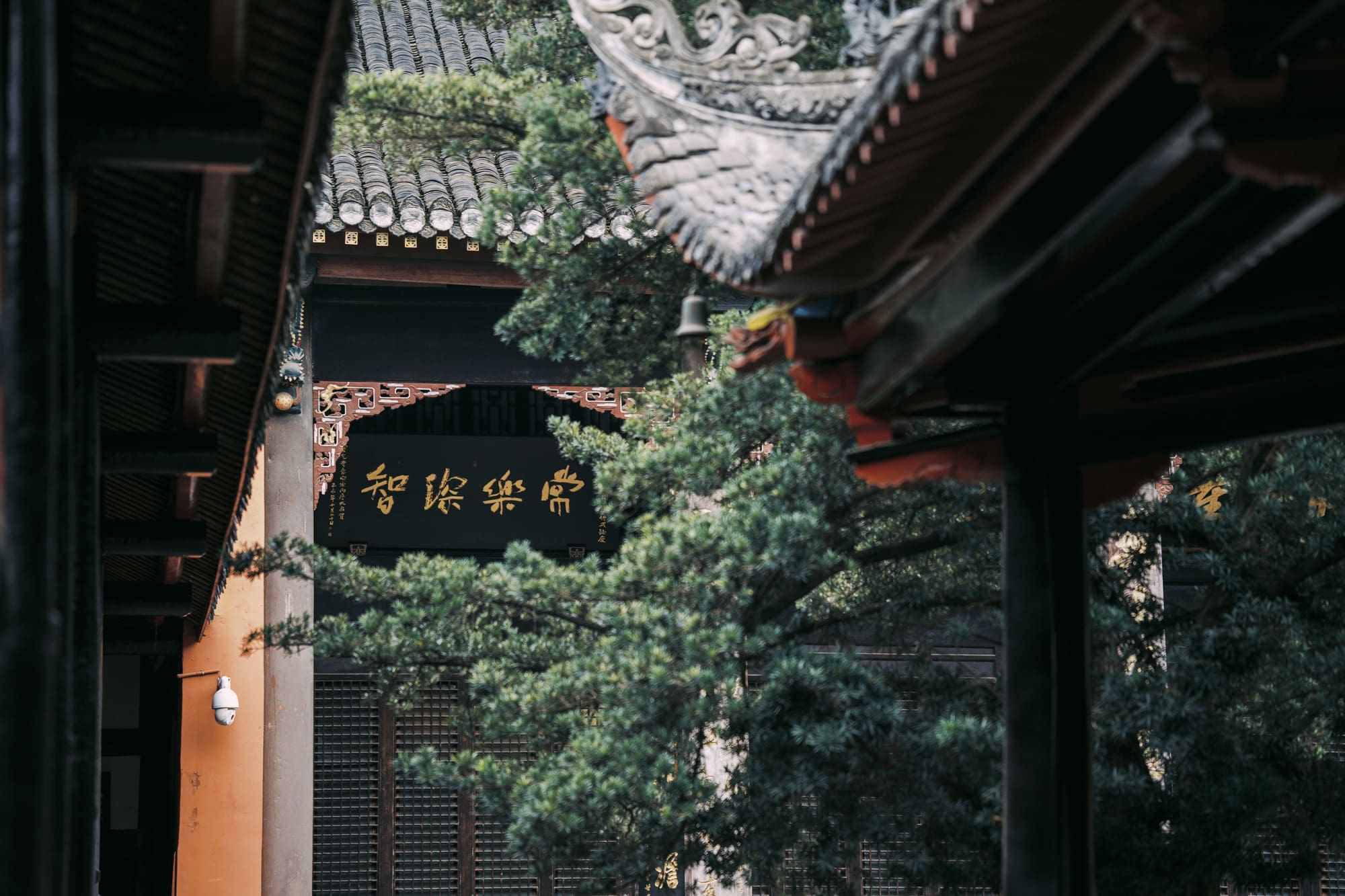 文殊院一角 文殊院一角