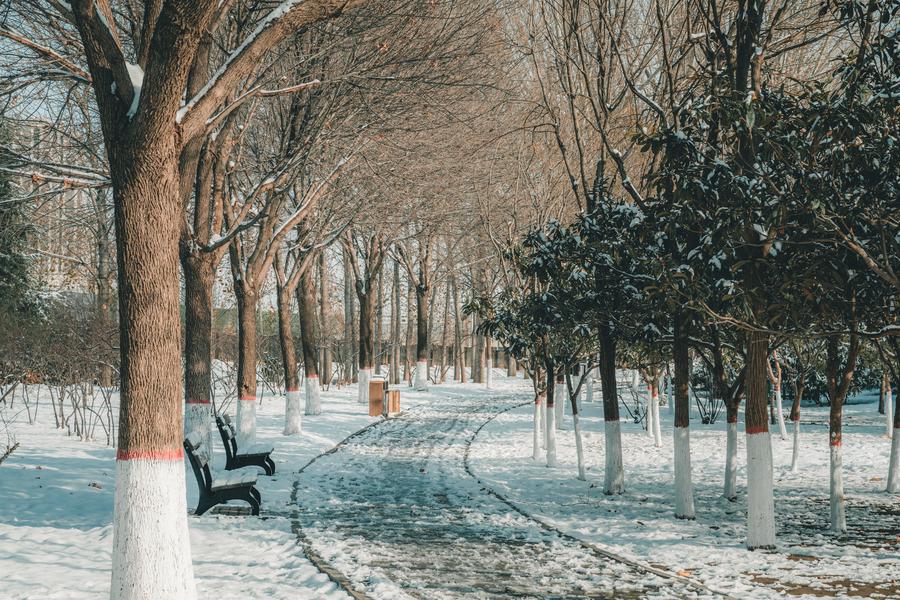 公园步道 公园步道