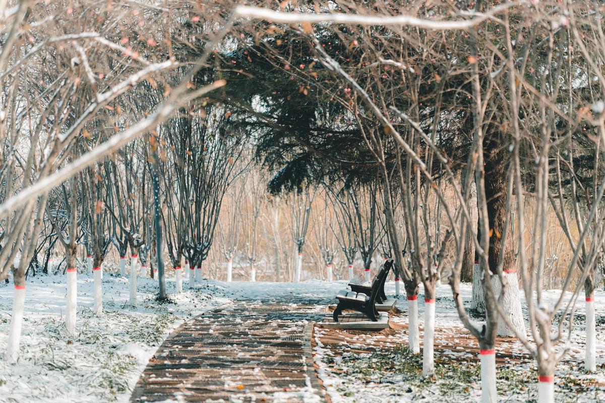 公园步道 公园步道