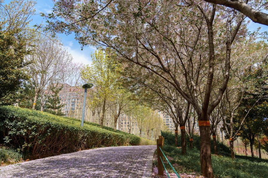 很喜欢的一个步道 很喜欢的一个步道