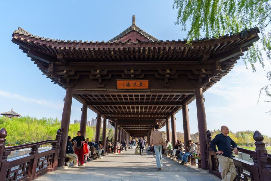 碧鸿桥