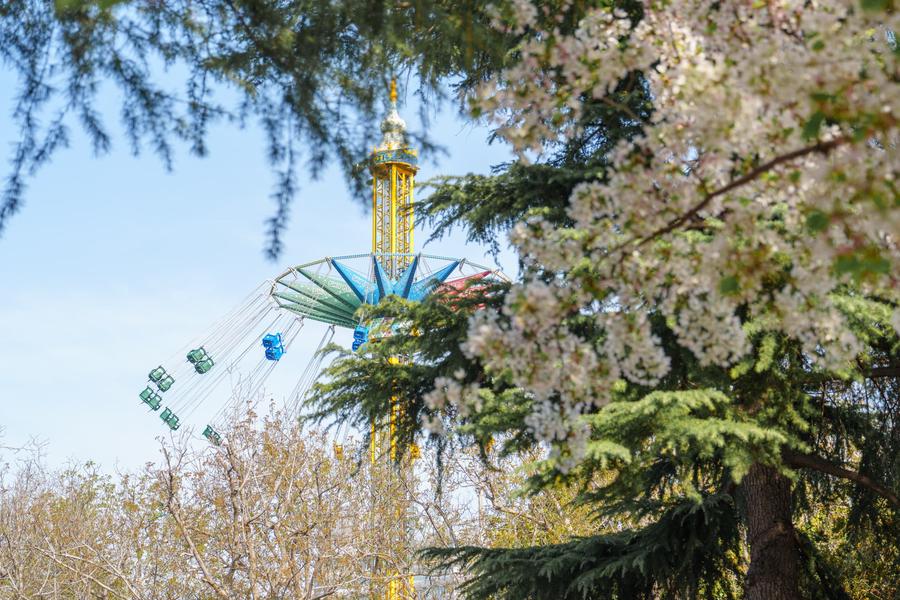 游乐设施 游乐设施