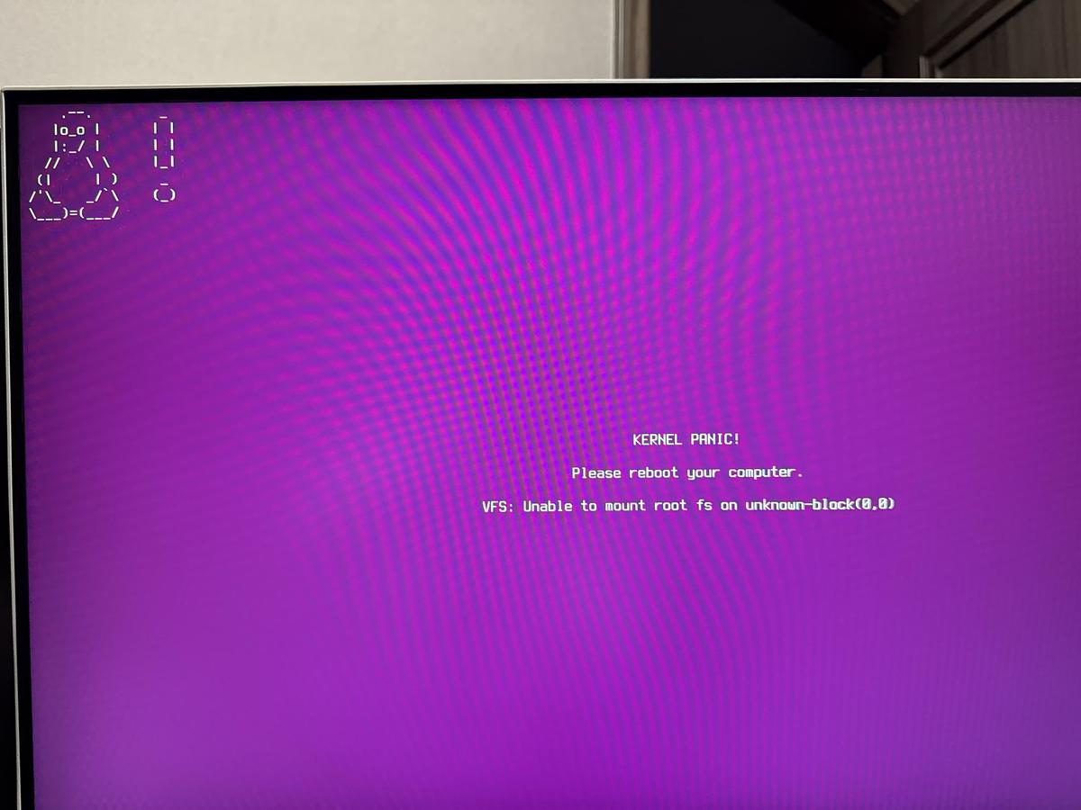 类似于 Win 系统的蓝屏