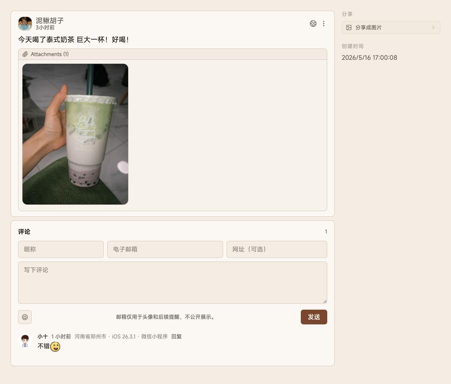 Memos 实例评论