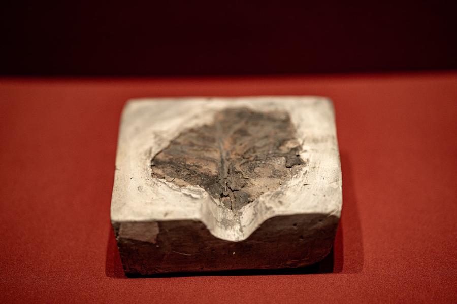 陶镞范（河南藏）