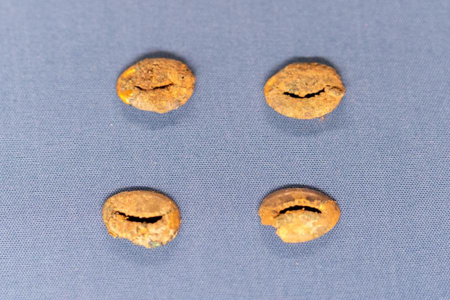 铜包金贝（河南藏）